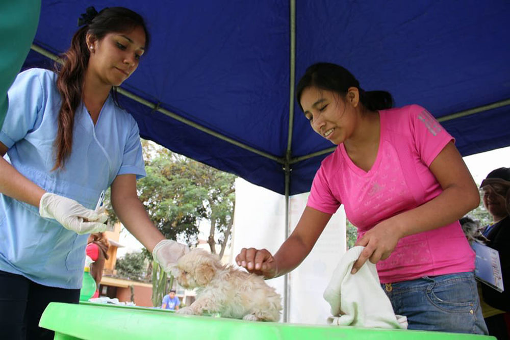 mpt-realiza-campana-veterinaria-colita-feliz-en-trujillo