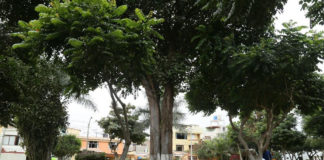 MPT realiza remodelación del parque “La Bondad” en Trujillo
