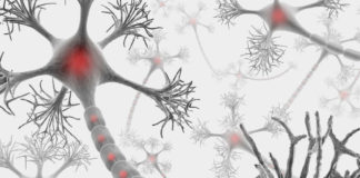 Proponen reparar las neuronas para enfrentar la esclerosis múltiple