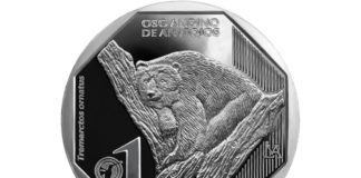 BCR emite moneda de plata alusiva al oso andino de anteojos