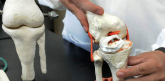 Crean material para regenerar huesos por impresión 3D