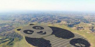 Inauguran planta de Energía Solar en forma de oso panda en China