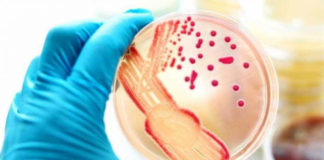 Estudio indica que Vacuna contra la meningitis podría ser la clave para curar la gonorrea