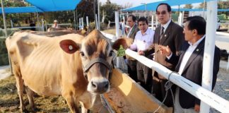 UPAO alista feria Agropecuaria y cuarta expo ganadera
