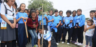 MPT inicia proyecto de arborización en colegios de Trujillo