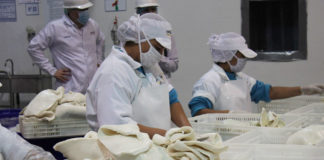 Empresa rusa Isola Co. llega al Perú por oferta Pesquera peruana