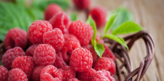 Adex señala que la Frambuesa será el próximo boom de las agroexportaciones peruanas