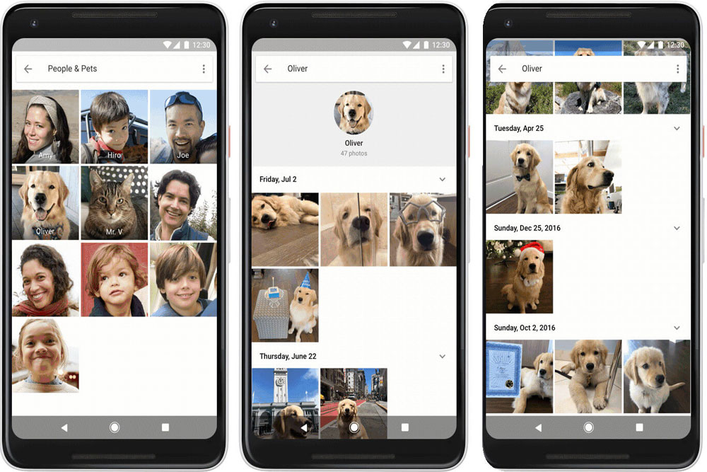 google-photos-ya-puede-reconocer-el-rostro-de-tu-mascota