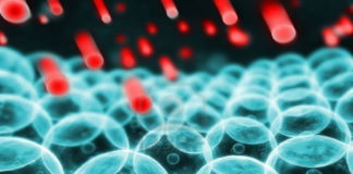 Usarán Nanopartículas para eliminar bacterias con resistencia a antibióticos