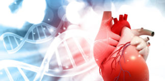 Crean método robótico que logra revertir insuficiencia cardíaca