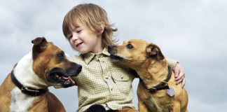 Estudios indican que tener un perro en casa puede reducir los síntomas del asma