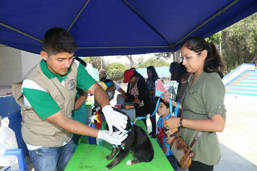 la-xii-edicion-de-la-campana-colita-feliz-en-la-exconcha-acustica
