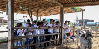 Agronomía y Veterinaria de UPAO ofrecen paseo académico a futuros universitarios