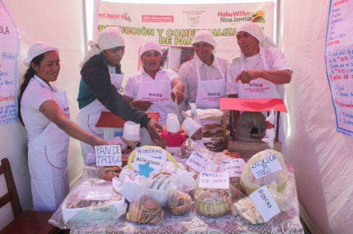 pobladores-de-agallpampa-en-otuzco-salen-adelante-con-haku-winay