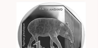 BCR pone en circulación moneda de S/ 1 alusiva al Tapir Andino