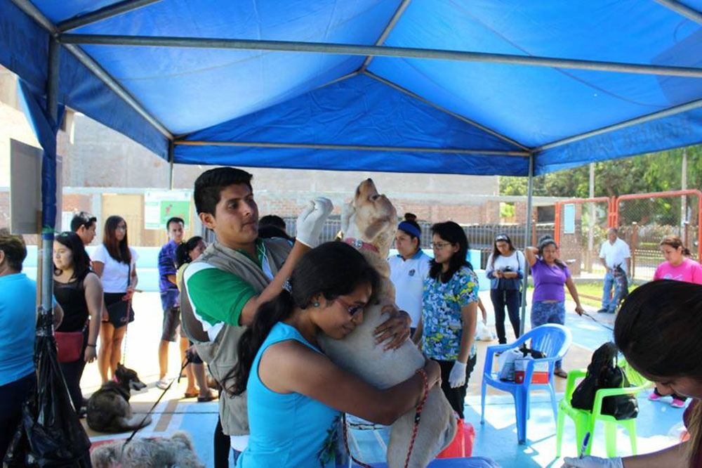 mpt-atiende-mascotas-en-campana-municipal-colita-feliz