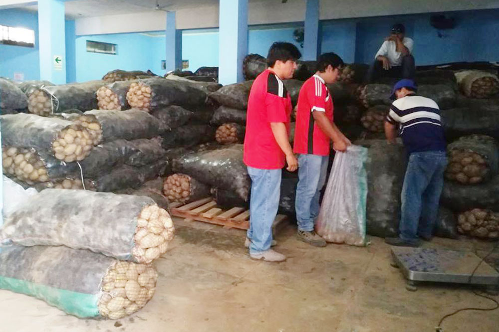 mpt-reparte-toneladas-de-papa-a-comedores-populares-de-trujillo