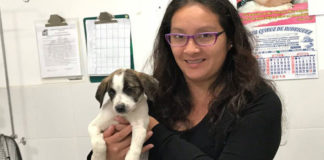 Cachorros rescatados en operativo de la MPT ya tienen un nuevo hogar