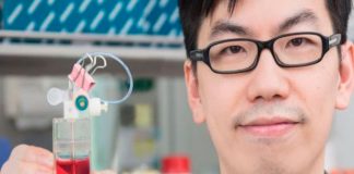 Científicos crean minicorazones con Biotecnología para probar nuevos medicamentos