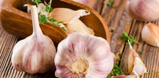 Consumo de Ajo es beneficioso para la salud por su composición química