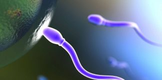 Estudios indican que la contaminación ambiental puede afectar la fertilidad