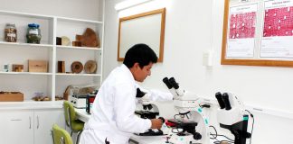 Trujillo será sede del Innovation Week Latam en Perú