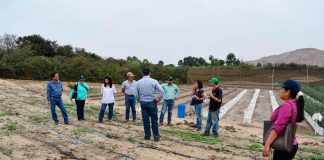 Alistan IX Convención Internacional de Capsicum en La Libertad