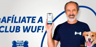 La app Club WUF busca mejorar la vida de los perros sin hogar