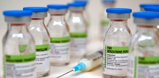 Científicos descubren que algunas bacterias se alimentan de penicilina