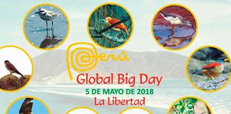 La Libertad participará activamente en la IV edición del Global Big Day