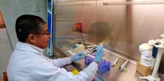 Microbiología molecular de UPAO implementa tecnologías de edición génica