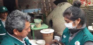 Muestrearán aves domésticas para descarte de influenza aviar en La Libertad