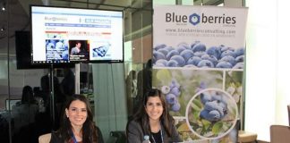 Perú será sede del XI Seminario Internacional de Blueberries