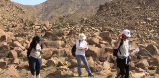 Resultado del Global Big Day será Línea Base en trabajos de investigación de avifauna en La Libertad