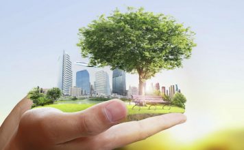 Importancia de la gestión ambiental en las empresas