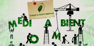 ¿Qué es un Sistema de Gestión Ambiental (SGA)?