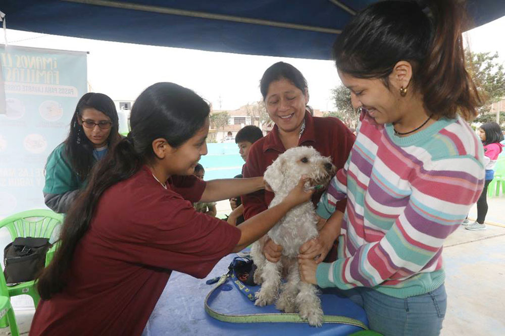 mascotas-urbanizacion-trupal-atendidas-campana-colita-feliz