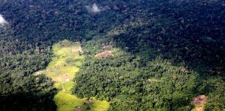 Entra en funcionamiento la nueva Plataforma Informática del Senace