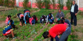 GRLL facilita asistencia técnica para la implementación de proyectos productivos
