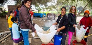 Destacan enseñanza de elaboración de chicha de jora en Chan Chan