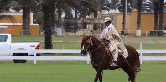 Presentan la 57 edición del Concurso Regional del Caballo Peruano de Paso 2018