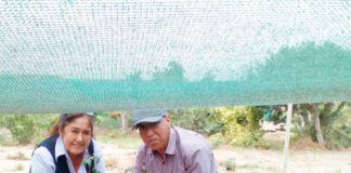 GRAMB dona plantones para mejorar la calidad del aire en La Libertad