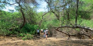 GRLL y Programa Nacional de Bosques suscriben convenio para mitigación del Cambio Climático