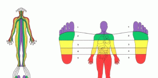 ¿Qué es y para qué sirve la reflexoterapia?