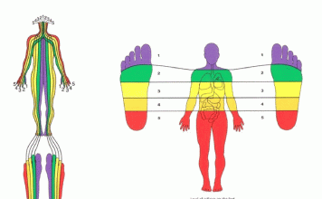 ¿Qué es y para qué sirve la reflexoterapia?