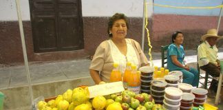 Sinsicap organiza el XVIII Festival del Membrillo Ecológico