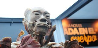 La exposición de Cuerpos Humanos Reales se despide de Trujillo con un rotundo éxito