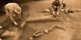 Descubren entierros de hace 3 mil años en zona arqueológica de Marcavalle