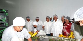 Inauguran la planta de procesamiento de espárragos en La Libertad