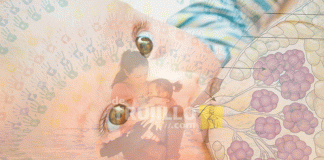 Lo que debes conocer sobre la lactancia materna